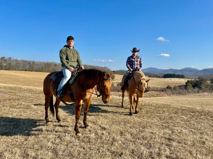 Riding Lessons