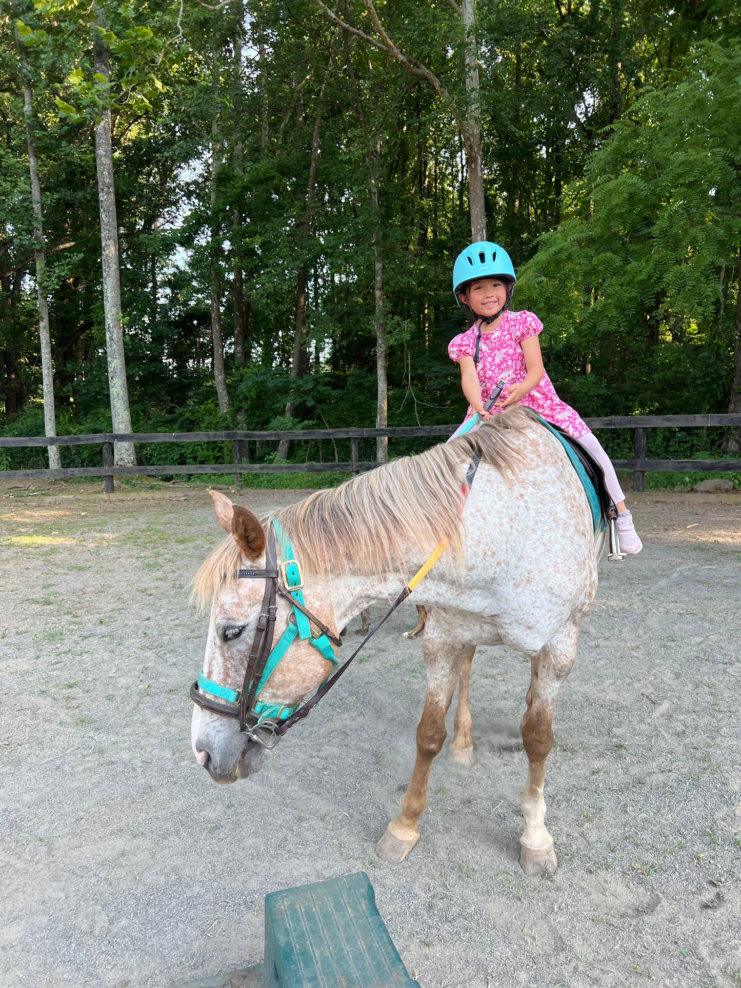 Riding Lessons