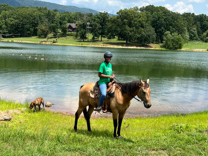 Riding Lessons